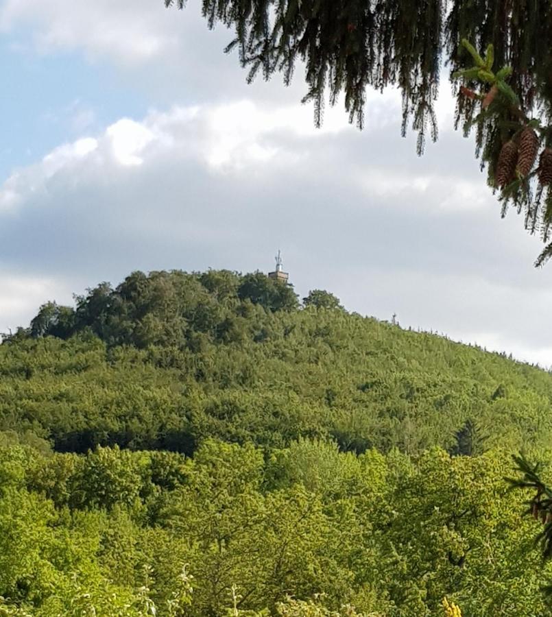 Ferienhaus "Am Staufenberg" 布兰肯堡 外观 照片