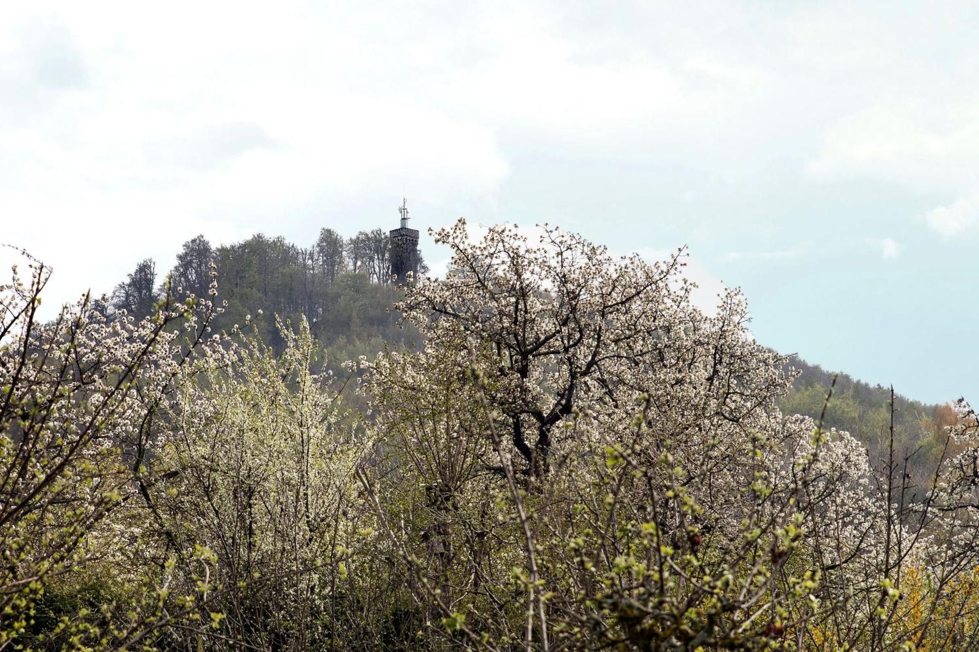 Ferienhaus "Am Staufenberg" 布兰肯堡 外观 照片